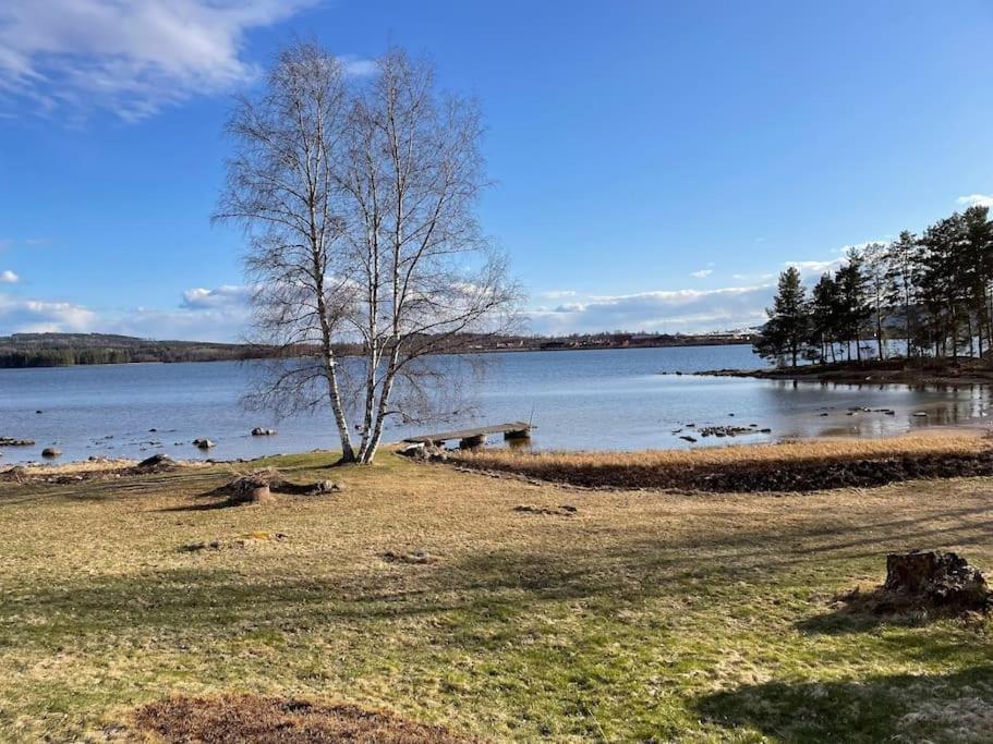 Lake Lodge Roennaes Лександ Екстериор снимка