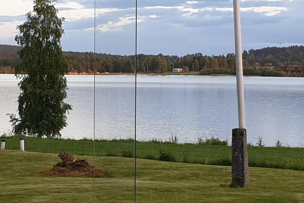 Lake Lodge Roennaes Лександ Екстериор снимка